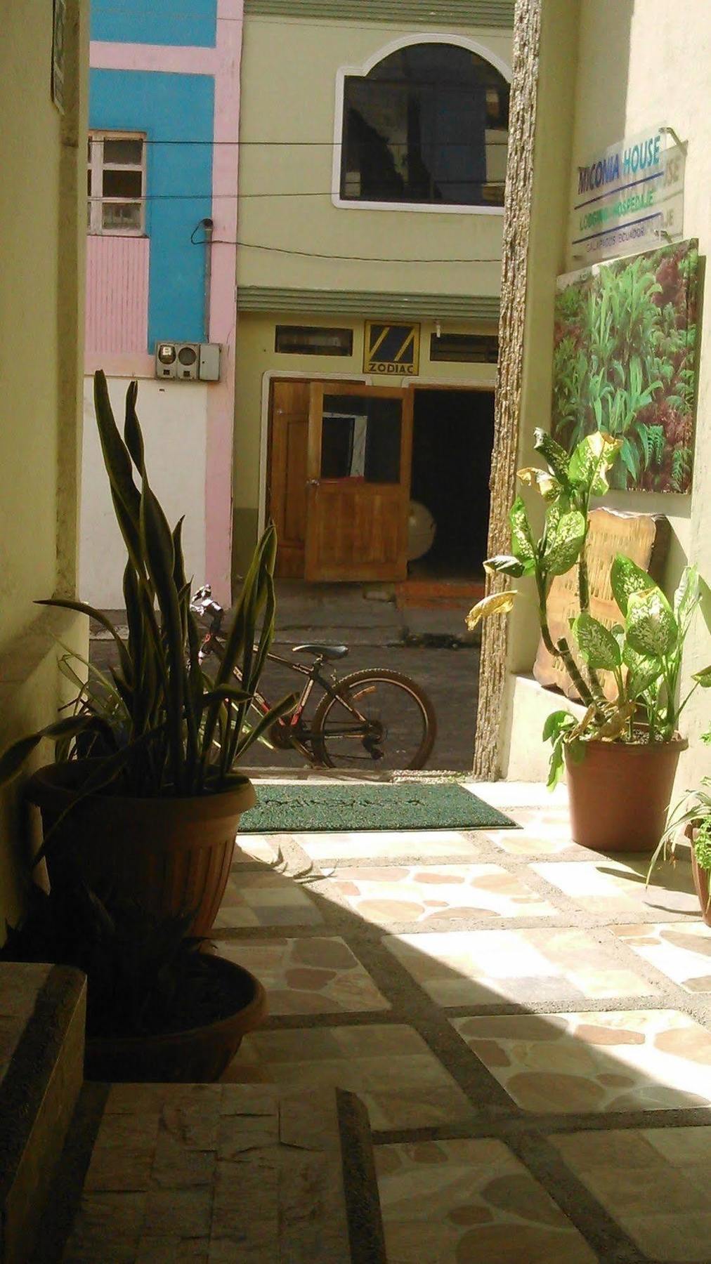 Hostal Miconia Puerto Ayora  Extérieur photo