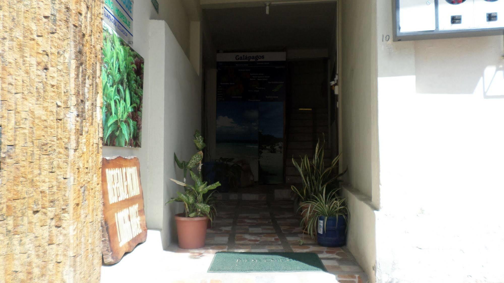 Hostal Miconia Puerto Ayora  Extérieur photo